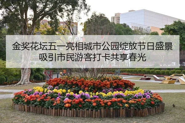 金奖花坛五一亮相城市公园绽放节日盛景吸引市民游客打卡共享春光