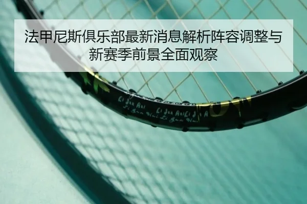 法甲尼斯俱乐部最新消息解析阵容调整与新赛季前景全面观察