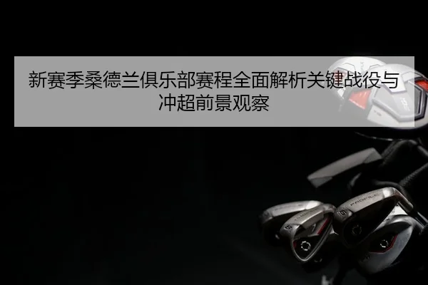 新赛季桑德兰俱乐部赛程全面解析关键战役与冲超前景观察