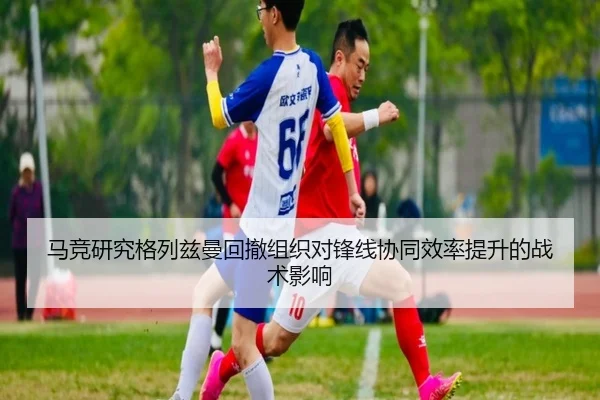 ma-jing-yan-jiu-ge-lie-zi-man-hui-che-zu-zhi-dui-feng-xian-xie-tong-xiao-lv-ti-sheng-de-zhan-shu-ying-xiang-2-265.jpg